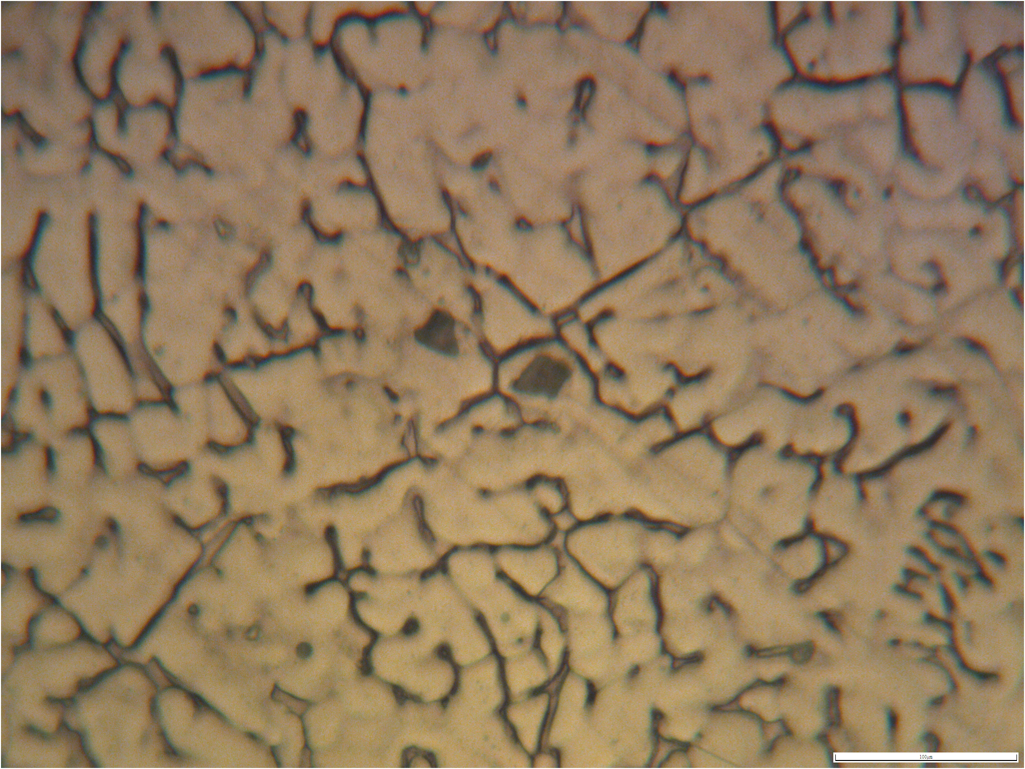 304 before solution treatment